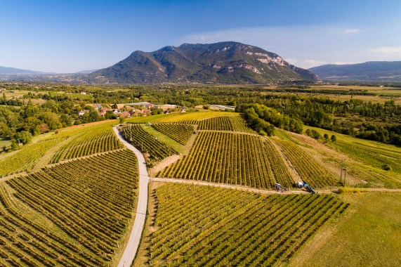 Belley, Cœur de la Région Bugey : Un Écrin de Nature et de Saveurs